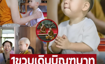 ภาพล่าสุด ‘เณรน้องกร’ เด็กวิเศษแห่งวัดป่ามณีกาณจน์